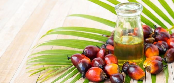 huile de palme santé